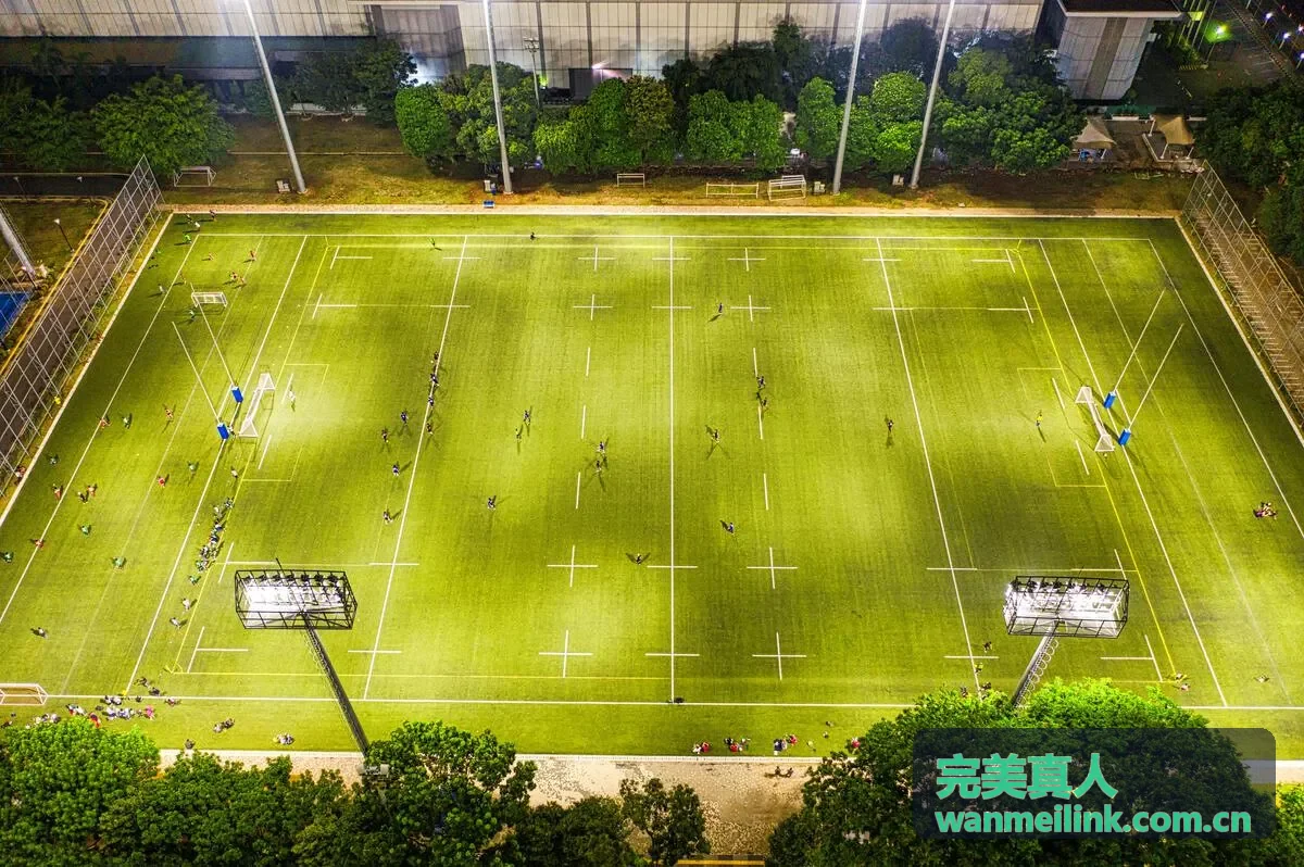 完美真人社群合作场景